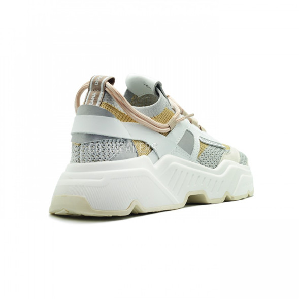 Женские кроссовки Dolce &amp;amp; Gabbana Daymaster Grey/White